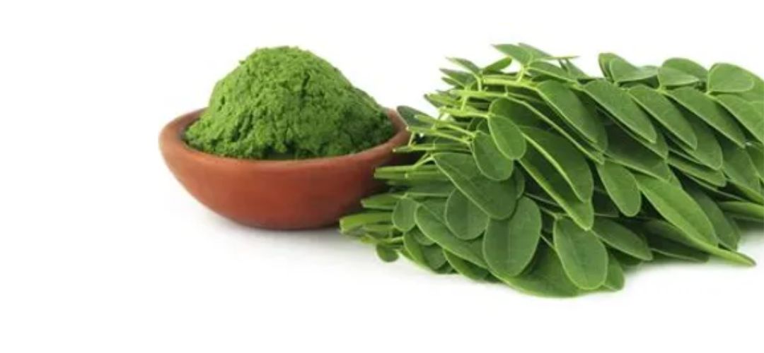 10 Amazing Health Benefits of Moringa leaves