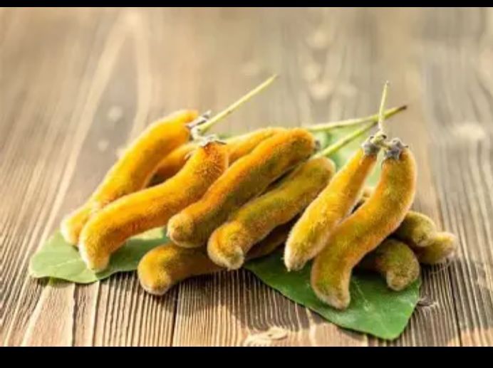 Velvet beans used as a natural aphrodisiac