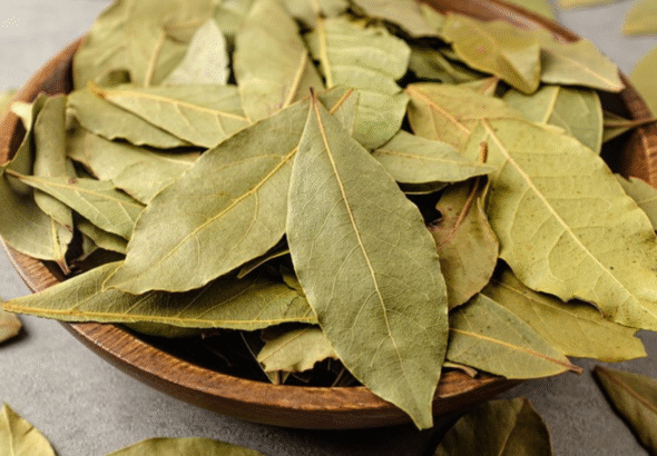 Health Benefits of Bay Leaves