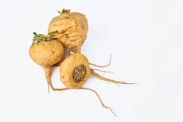 istockphoto 1372415845 612x6124653778879803427077 1