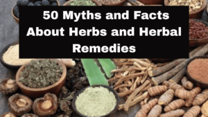 50 Myths and Facts About Herbs and Herbal Remedies