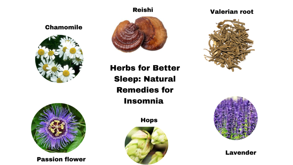 Herbs for Better Sleep