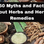 50 Myths and Facts About Herbs and Herbal Remedies